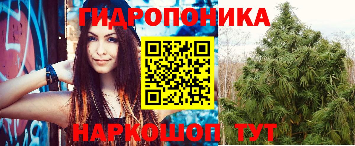 Шишки марихуана White Widow Саратов